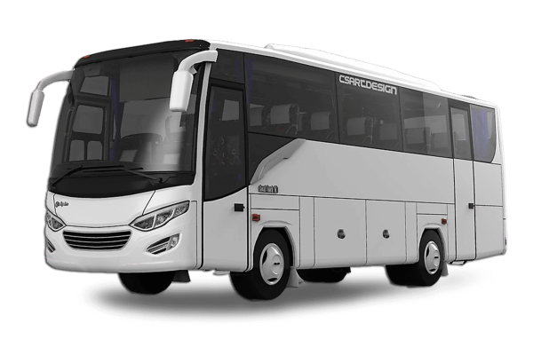 medium-bus